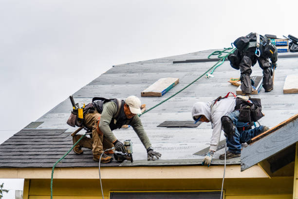 Professional Storm Damage Roof Repair technician working in Harcourt, IA